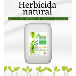 Herbicida vinagre 20% 25L – Solución ácida vegetal para el control de vegetación no deseada