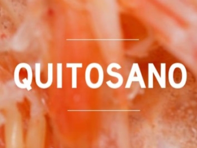 Quitosano de abeja: qué es, propiedades y beneficios en agricultura ecológica